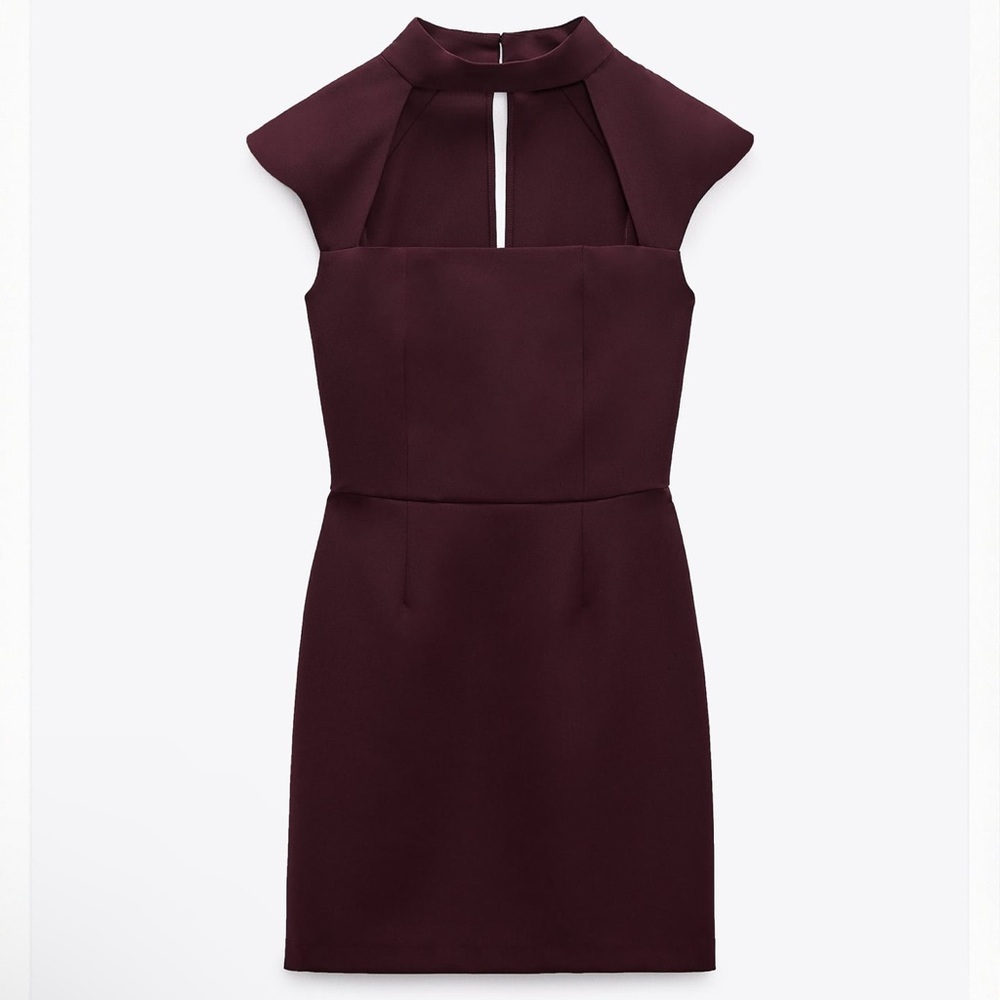 Zara mini dress in eggplant purple
